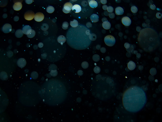 rain4_L